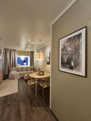 Supercentral city apartment Eik